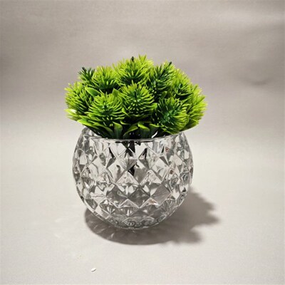 2024新款绿萝水晶精致高端圆大肚子花瓶L矮款宽口高档加厚玻璃摆