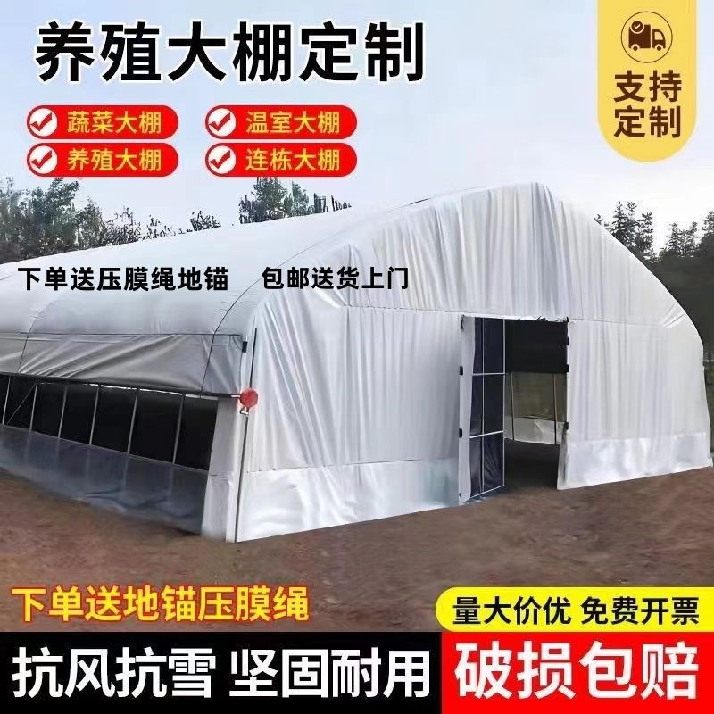 养殖大棚养鸡棚猪棚牛棚羊棚鸭棚C鹅棚兔棚狗棚家禽全套大棚骨架