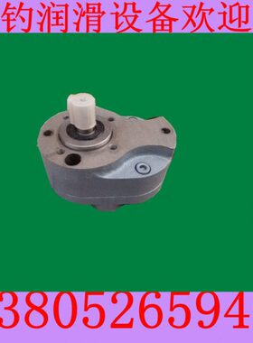 4/-B组/B/BB/0B16403225/B电动6齿轮油泵电机C耐磨B510B/B/铸铁