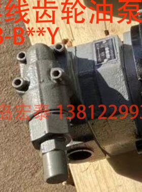 齿轮油泵32摆-BBY Y B线B-BY Y BB-16BBBBY 40B2520-