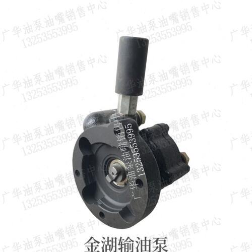 20湖输9JA6S4J油泵原装体油泵0J9Z1J20 Z11S6泵S42单 金 衡阳解放