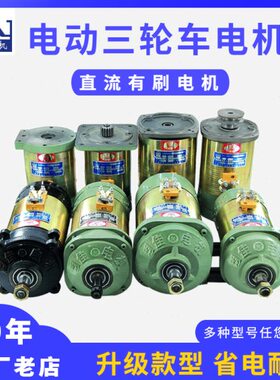 车直流电机电机24vv36v60平板三轮车电动拉货车马达建筑工程48v