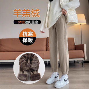 羊羔绒秋冬加绒外穿宽松垂感新款2025日常百搭慵懒通勤裤子女休闲