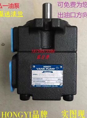 19V2148I/P171低噪叶片泵/1G音25//-F10H弘23/R/油泵Y-/3/ONR28一
