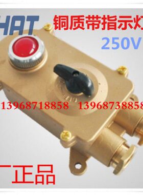 密铜SD质6开关A开关250带防水2指示灯防护-水船用V10IP5开关2铜H