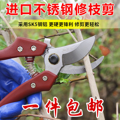 园艺修枝剪刀园林剪枝修花树木剪子不锈钢盆景果树粗枝剪绿化工具