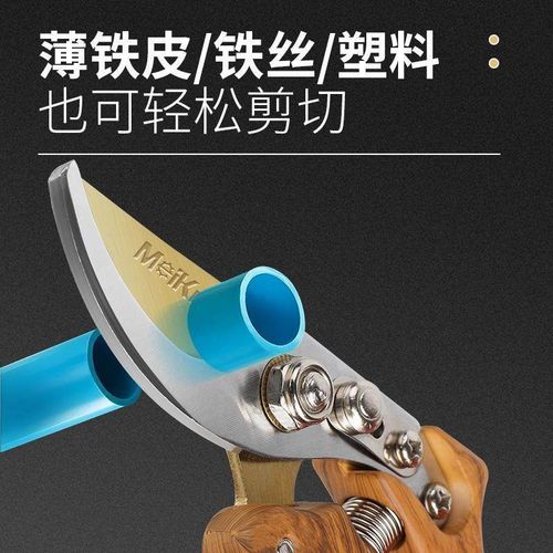 修枝剪园艺剪刀剪树枝专用园林修剪果树修枝花艺修花剪剪枝剪粗枝