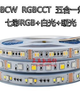 RGBCW五合一灯带高亮氛围灯12V24V智能家居防水双眼皮灯条