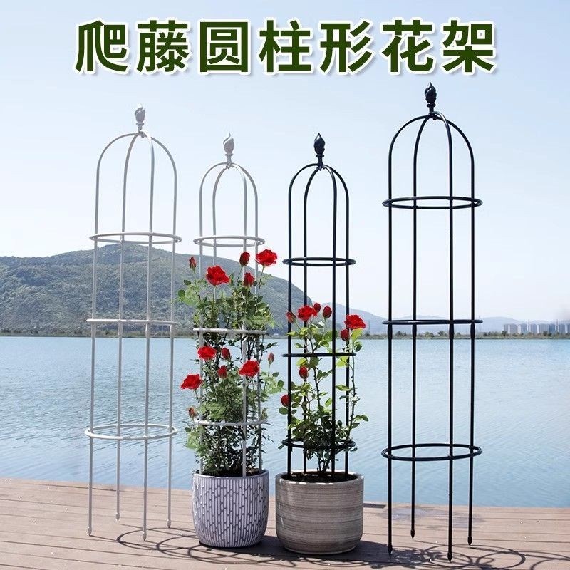 初见玫瑰室外铁制l拱门花架爬藤架铁线莲藤月葡萄丝瓜铁艺加固型