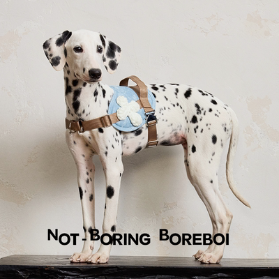 防爆冲宠物随行遛狗大中小型犬