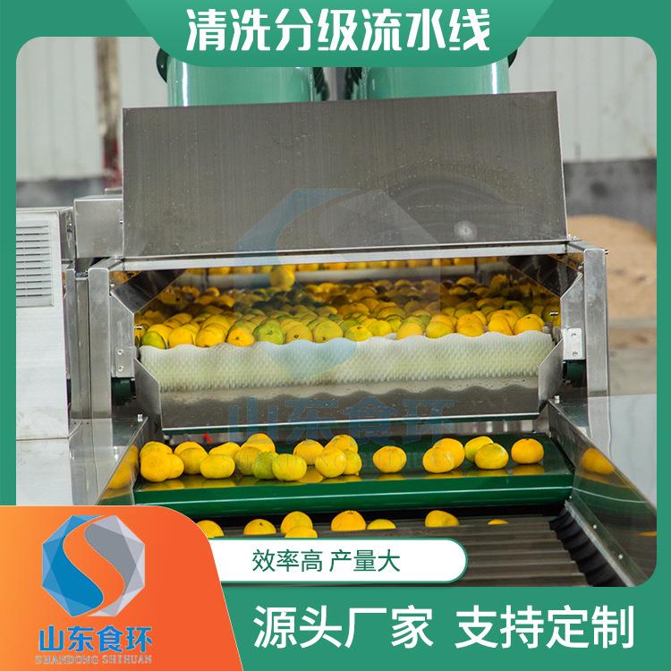 全自动沃柑分级机滚杠式红薯橙子分选设备苹果梨果蔬选果机