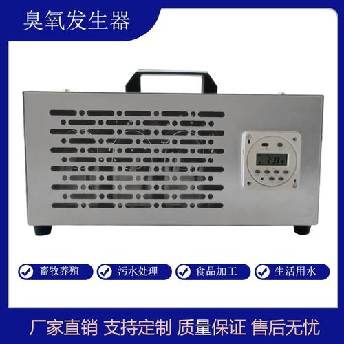 手提式30g臭氧发生器定时开关操作简单污水处理车间空气消毒杀菌