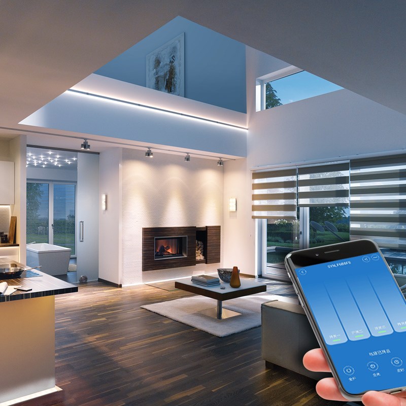 4路30A网线网口版开关手机智能远程控制433M模块家电智能语音