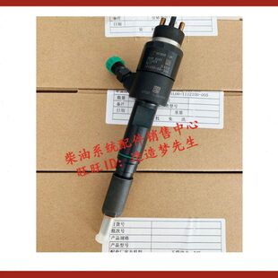 005 1P1G00 北京喷油器总成A83B4S玉动4110柴油机喷油嘴216010