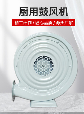 永强牌CZR60鼓风机纯铜芯铁壳250W220V炒炉炒灶离心式中压鼓风机