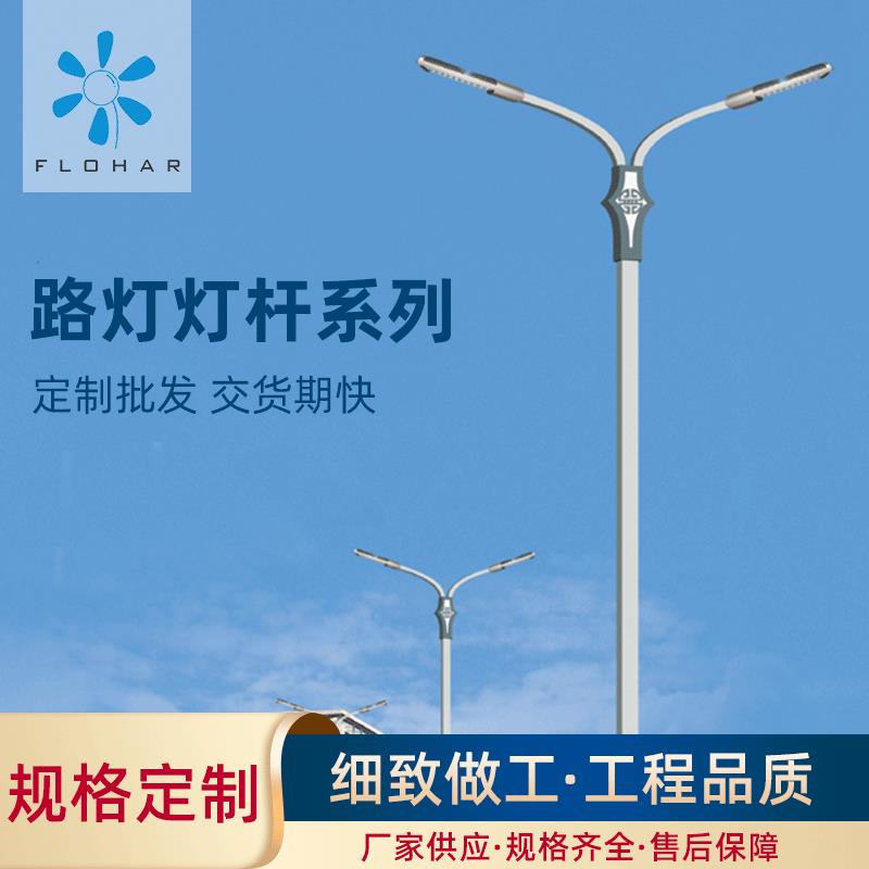 路灯杆6米30WLED太阳能路灯5米7米8米户外海螺臂路灯杆新农村路灯