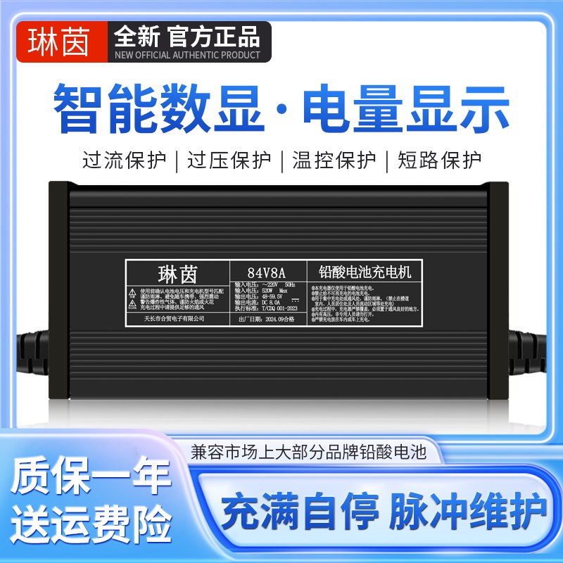 铅酸免维护家用电瓶车48V60V72V8A10A12A15A四轮蓄电池智能充电器