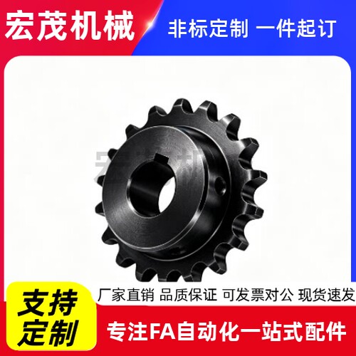 非标链轮单品双排12A6分