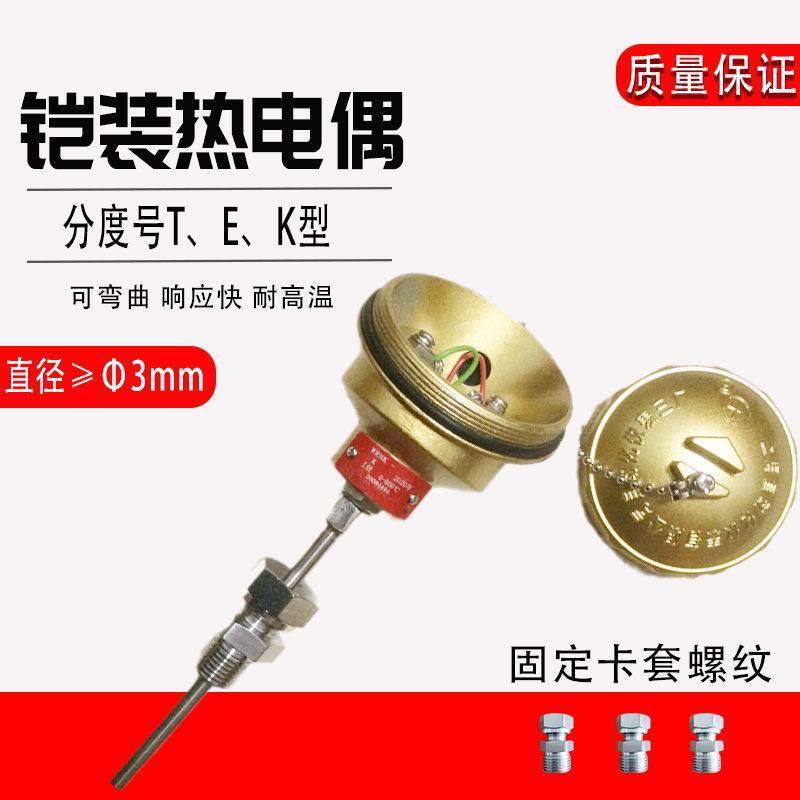 WRNK-231铠装热电偶K分度号800度不锈钢材质探头温度传感器