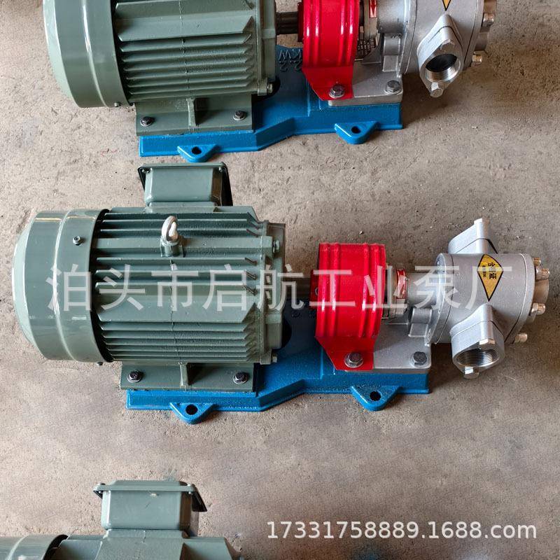不锈钢齿轮泵kcb55油输送304不锈钢齿油轮泵
