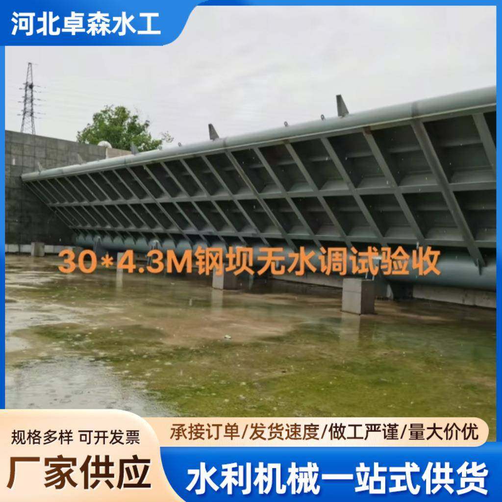 大型不锈钢驱动钢闸门液压翻板闸门景观水利闸门钢坝大型水闸门