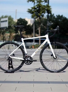 Camp坎普 RADON X 油压碟刹 综合爬坡架铝合金公路车