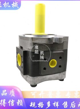 福伊特IPVAP6-64/80/100/125高压内啮合齿轮泵 液压泵 注塑机油泵