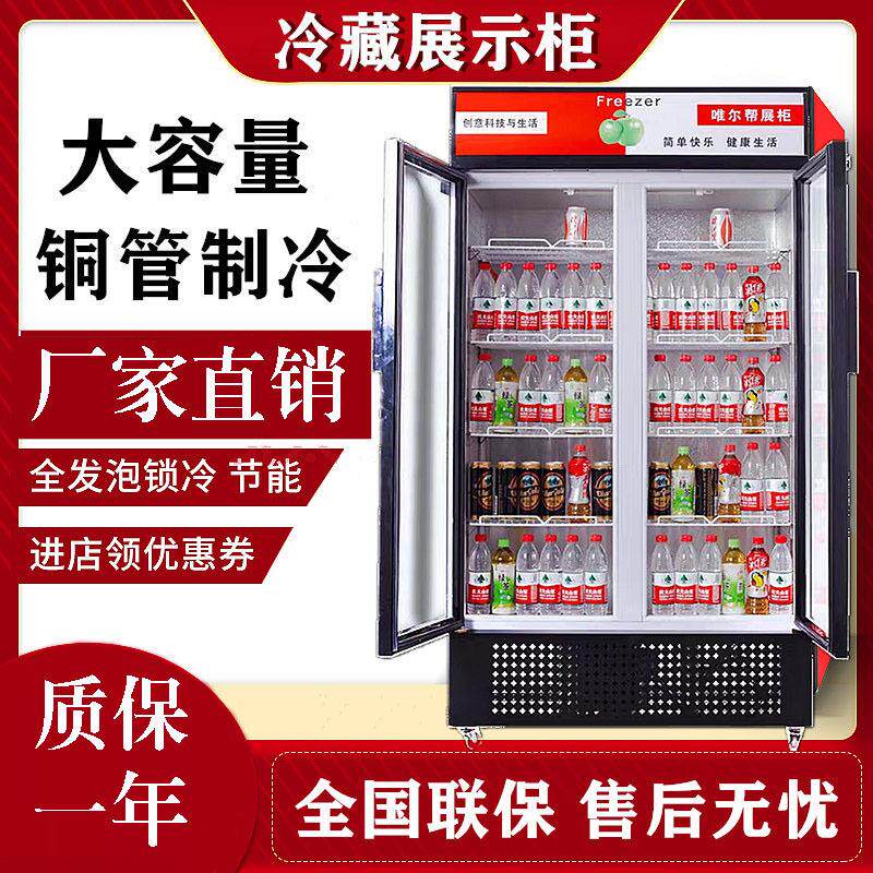 饮料展示柜啤酒柜商用冷藏冰柜双开门冷饮柜单门冷藏立式保鲜柜
