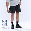 影视飓风速干运动短裤STORMCREW夏款户外休闲短裤男tim裤轻薄透气