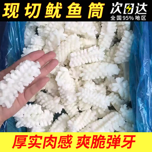 新鲜大鱿鱼花商用鲜活水产批发