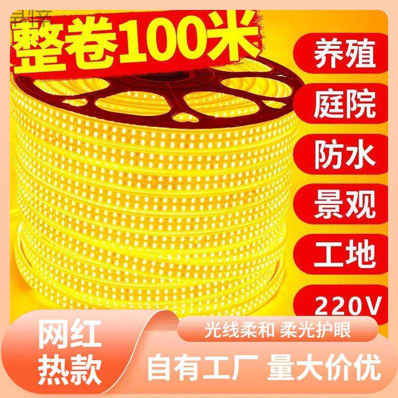 s%led金黄灯带超亮100米防水220V客厅工地工程室外氛围灯室内灯带