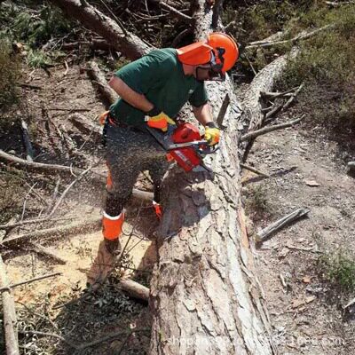 叶红油锯MT6500切割锯汽油砍树机园林伐木锯二冲程汽油家用链锯