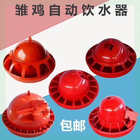 鹌鹑饮水器 鹌鹑苗育雏自动喂水器出壳雏鸡小鸡自动喂水壶 垒德株