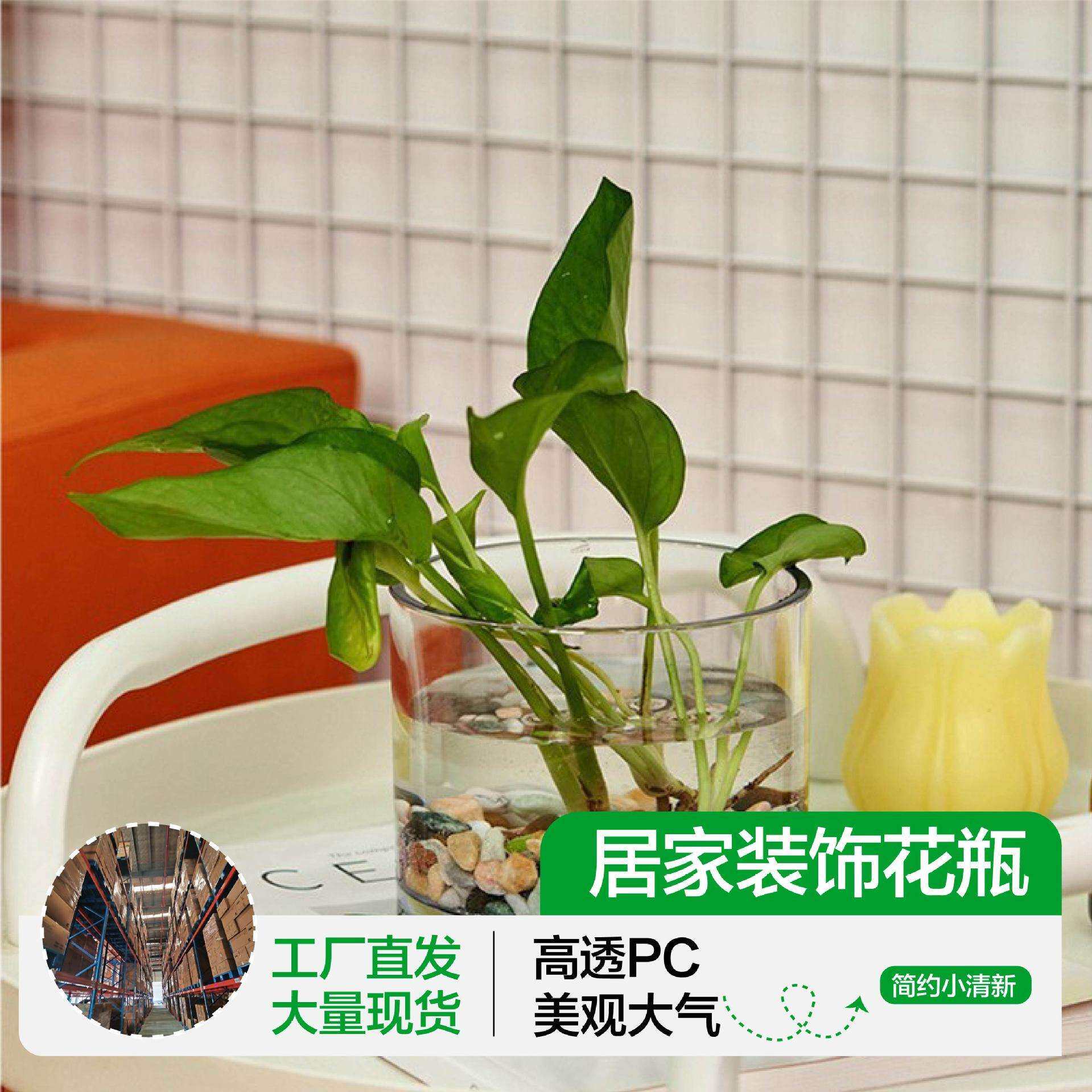 花瓶摆件客厅超大号轻奢高档高级感轻奢风抗摔特大号透明塑料圆柱