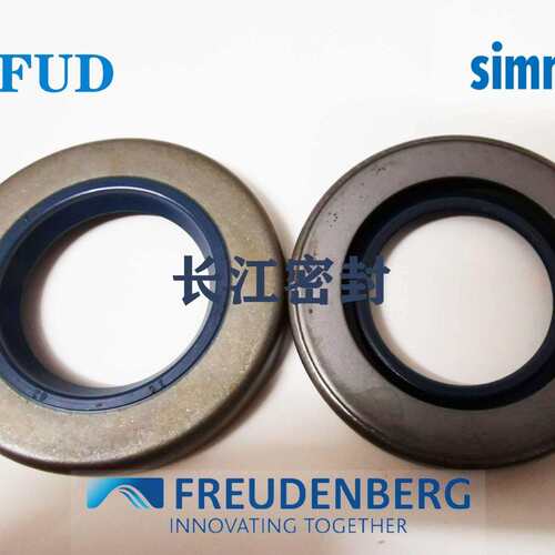 B2FUD 100*130*13 110-140-15CFW铁壳骨架油封simrit FREUDENBERG