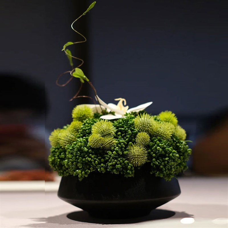 中式清新现代仿真苔藓文竹花艺套装售楼部会所洽谈桌茶几软装摆件