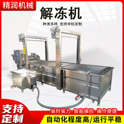 全自动带鱼解冻设备鸡腿鸡翅恒温机提升式鸡胸肉水浴式机海鲜