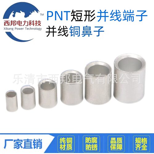 PNT3.5-5国标紫铜中间对接端子
