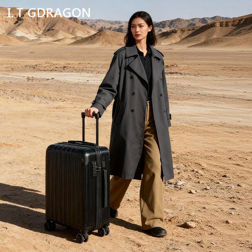 行李箱登机拉杆箱密码箱皮箱子