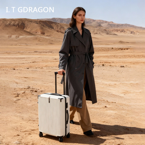 行李箱登机拉杆箱密码箱皮箱子