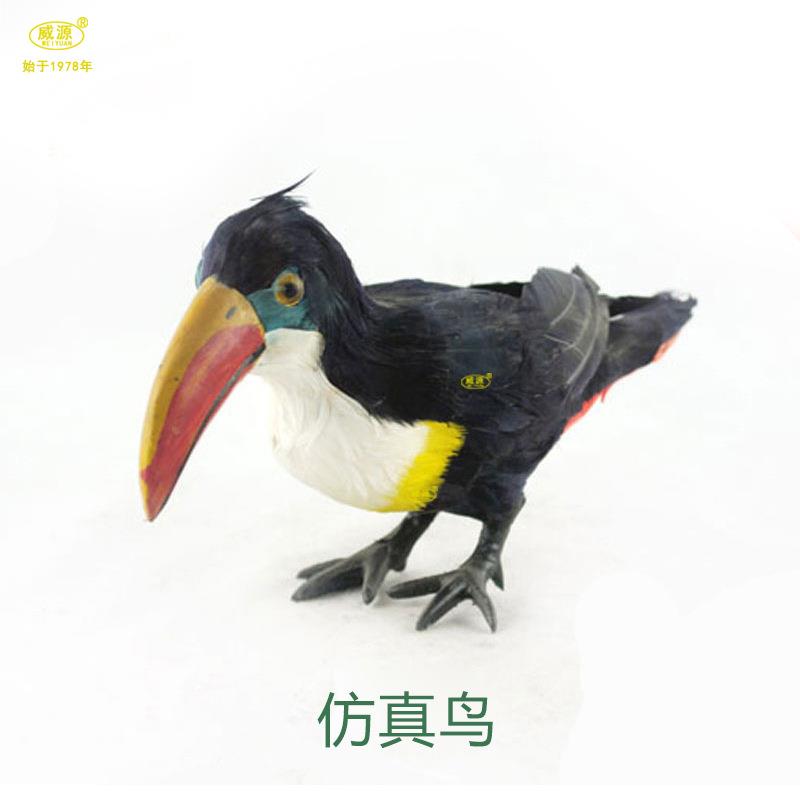 威源 手工艺品 仿真动物 羽毛类动物 长嘴鸟 大嘴鸟B030
