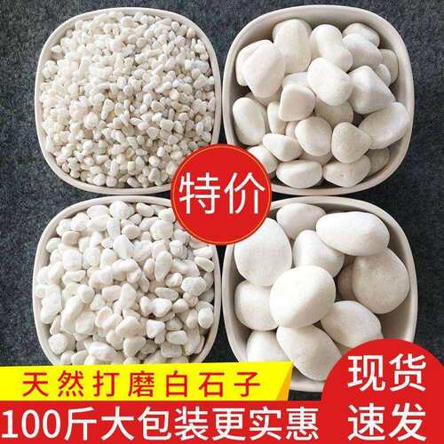 100斤白石子白色鹅卵石庭院造景装饰白花园铺地铺路白色砾石