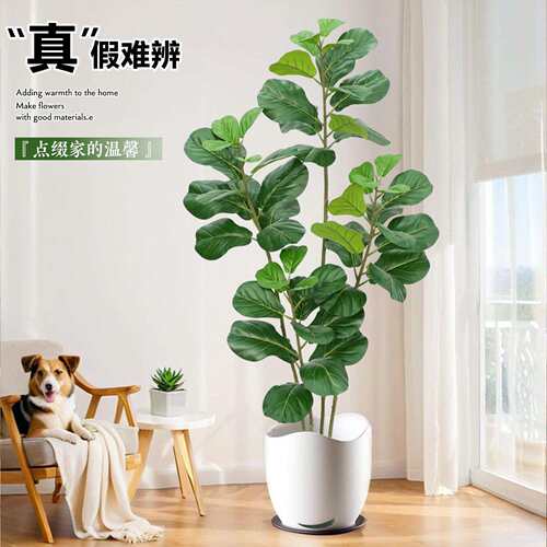 仿真绿植琴叶榕大型室内客厅落地摆件装饰仿生植物造景盆栽假树
