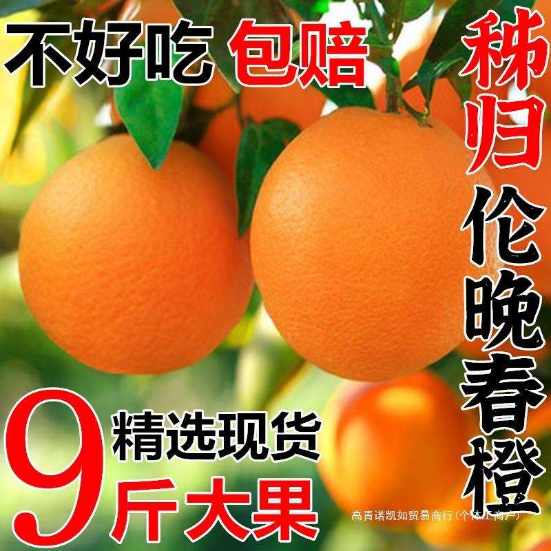 爆甜伦晚脐橙春橙正宗秭归脐橙子10斤新鲜水果9斤5斤应季果冻甜橙
