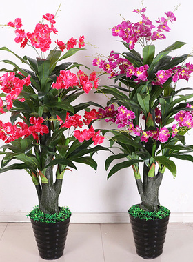 假树蝴蝶兰花假花仿真植物落地盆栽大型客厅室内盆景树塑料花花卉