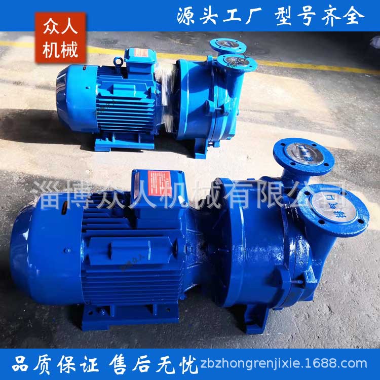 2BV5131水环式真空泵低噪设计
