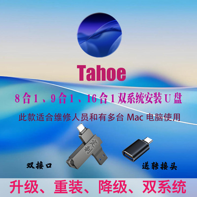 苹果系统U盘苹果双系统多分区安装盘M1M2M3M4恢复升级降级启动盘