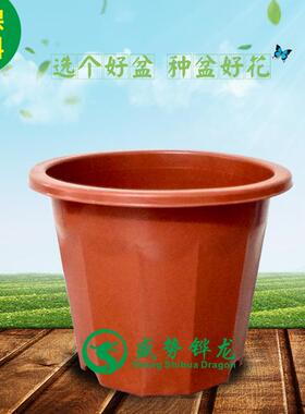 塑料花盆 加厚加高十二角塑料花盆加深花盆 深型花盆 红色种植盆