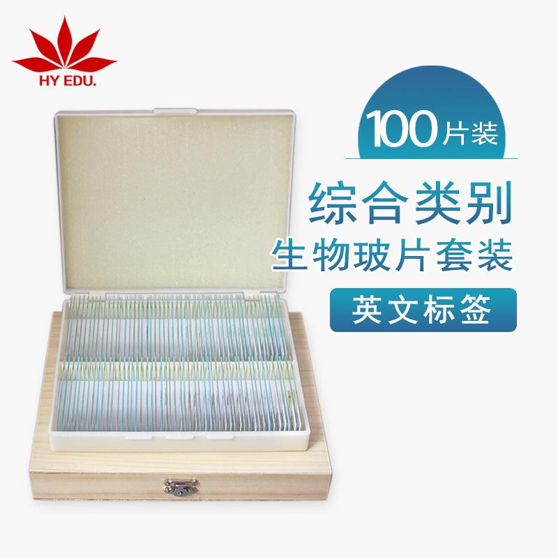 红叶教仪显微镜综合类别生物玻片英文标签100片套装 清晰透亮
