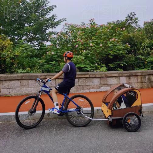 户外小孩拖车带后挂式斗儿童带娃公路车小车亲子山地车骑行自行车